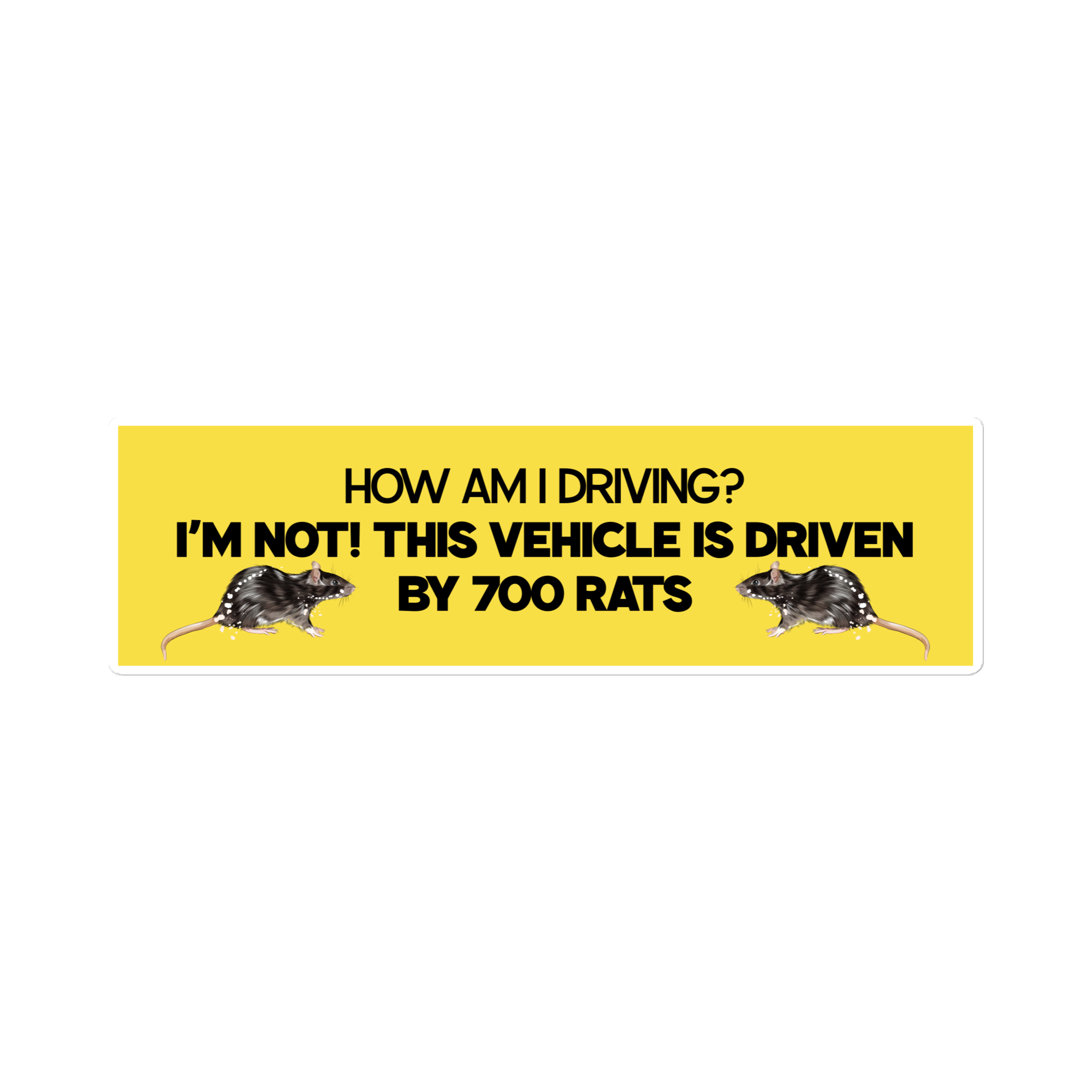 How is my driving?