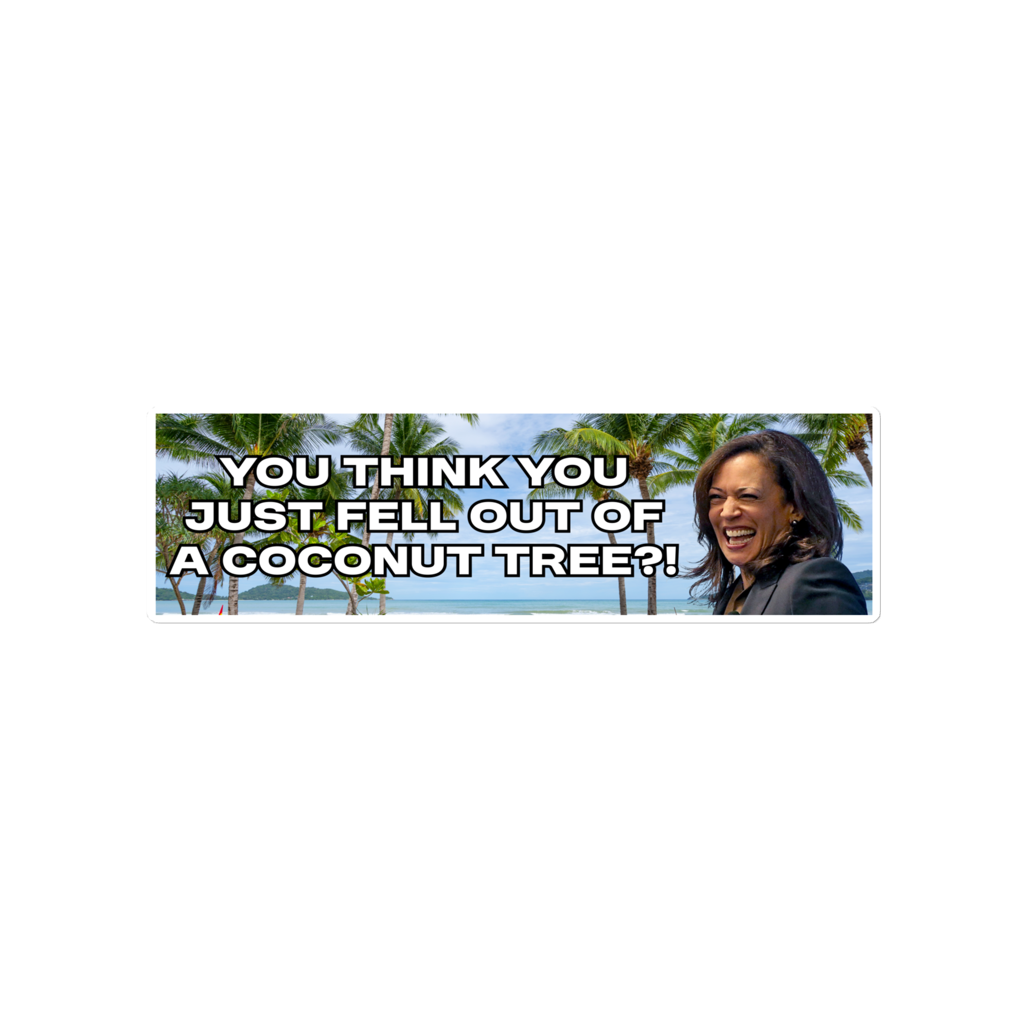 You think you just fell out of a coconut tree?!